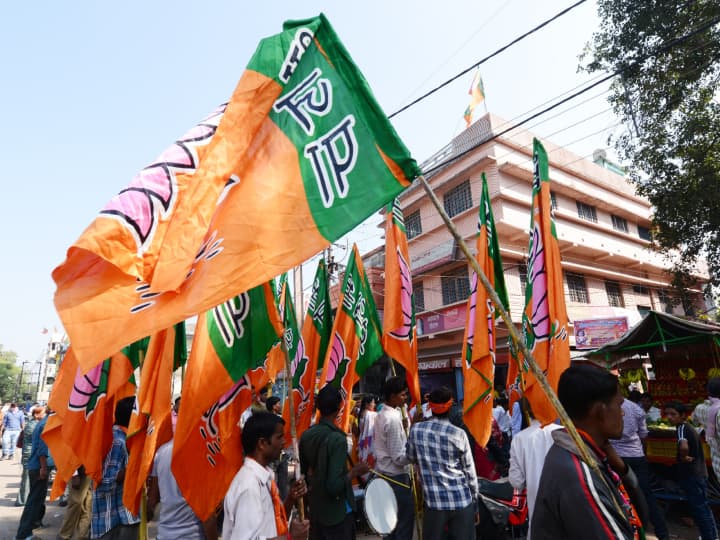 Tamil Nadu BJP State IT Wing Dilip Kannan resignation from BJP state president K Annamalai Tamil Nadu BJP: बीजेपी आईटी विंग के एक और पदाधिकारी ने पार्टी छोड़ी, प्रदेश अध्यक्ष पर लगाए गंभीर आरोप