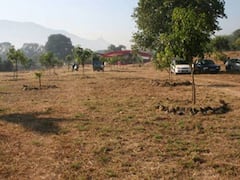 गायरान अतिक्रमणधारकांना बाजू मांडण्यास 30 दिवसांची मुदत