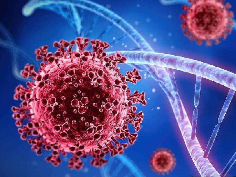 Coronavirus India Cases After 97 Days More Than 300 People have Been Affected with Covid 19 Infection Coronavirus Cases India: ஒரே நாளில் 334 பேருக்கு பாதிப்பு..! இந்தியாவில் மீண்டும் அதிகரிக்கிறதா கொரோனா..?