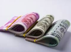 Fixed Deposit: ਇਹ ਬੈਂਕ ਸੀਨੀਅਰ ਨਾਗਰਿਕਾਂ ਨੂੰ FD 'ਤੇ 9 ਤੋਂ 9.50 ਫੀਸਦੀ ਵਿਆਜ ਦੇ ਰਹੇ ਹਨ, ਜਾਣੋ ਵੇਰਵੇ