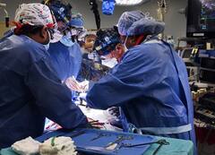 11 वर्षीय बच्ची के पेट से निकला बालों का गुच्छा, डॉक्‍टर भी रह गए हैरान