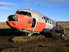 Indian-Origin Woman Dead, Daughter Injured In Plane Crash In US