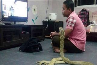 ਪਿਛਲੇ ਜਨਮ ਦਾ ਪਿਆਰ ਦੱਸ ਕੇ ਇਸ ਵਿਅਕਤੀ ਨੇ ਨਾਗਿਨ ਨਾਲ ਕਰਵਾ ਲਿਆ ਵਿਆਹ