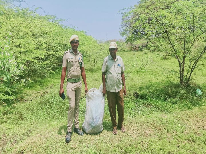 Crime:  மதுரையில் 40 மயில்கள் மர்ம மரணம் - வேட்டையா? பூச்சிக்கொல்லி மருந்து வைத்துக் கொலையா?