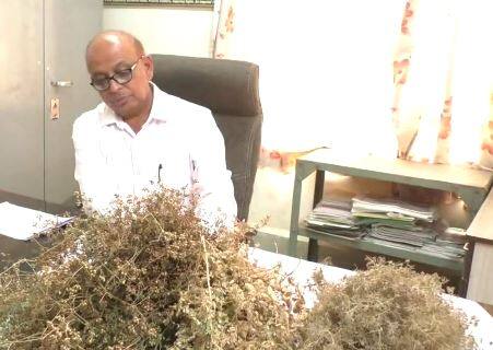 Survey started by agricultural officials due to deficient rains in Rajkot district Rajkot: રાજકોટ જિલ્લામાં કમોસમી વરસાદના કારણે  ખેતીવાડી અધિકારીઓ દ્વારા સર્વે શરૂ