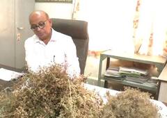 Rajkot: રાજકોટ જિલ્લામાં કમોસમી વરસાદના કારણે  ખેતીવાડી અધિકારીઓ દ્વારા સર્વે શરૂ