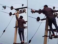 ਬਿਜਲੀ ਦੀਆਂ ਤਾਰਾਂ 'ਚ ਫਸਿਆ ਕਬੂਤਰ, ਸ਼ਖ਼ਸ ਨੇ ਜਾਨ ਜ਼ੋਖ਼ਮ 'ਚ ਪਾ ਬਚਾਈ ਮਾਸੂਮ ਦੀ ਜਾਨ... ਵੀਡੀਓ ਦੇਖ ਕਰੋਗੇ ਸਲਾਮ