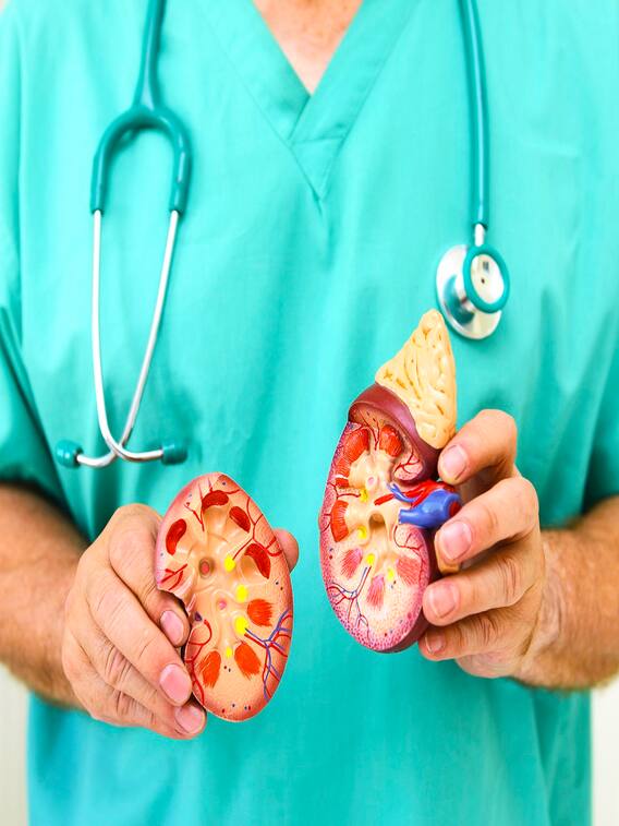 World Kidney Day: इन 5 आदतों से बढ़ रहा किडनी फेलियर का खतरा