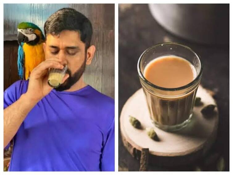 I am also a tea lover it is difficult to say no for tea anytime Dhoni expressed his love for tea Video : நானும் ஒரு 'டீ' லவ்வர்தான்… 'நோ' சொல்றது கஷ்டம்… தேநீர் மீதான காதலை வெளிப்படுத்திய தோனி!