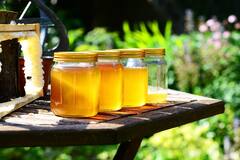 Honey Skin Benefits: ত্বকের যত্নে মধু একান্ত গুরুত্বপূর্ণ,কীভাবে ব্য়বহার করবেন?