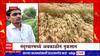 Nandurbar Crop : नंदुरबार जिल्ह्यात अवकाळी पाऊस आणि वादळी वाऱ्यांमुळे शेतकऱ्यांचं मोठं नुकसान