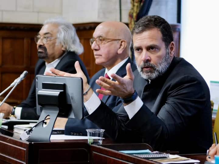 ‘बीजेपी को कोई नहीं हरा सकता, इस बात पर मुझे यकीन नहीं’, ब्रिटिश संसद में बोले राहुल गांधी