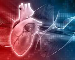 ਅੱਜਕੱਲ੍ਹ ਹੋ ਰਹੀ ਕੋਲਡ ਪ੍ਰੈੱਸਡ ਆਇਲ ਦੀ ਚਰਚਾ, ਜਾਣੋ ਇਹ ਕੀ ਹੈ ਅਤੇ ਕੀ ਸਰੀਰ ਦੇ ਲਈ ਕਿਉਂ ਹੈ ਖਾਸ