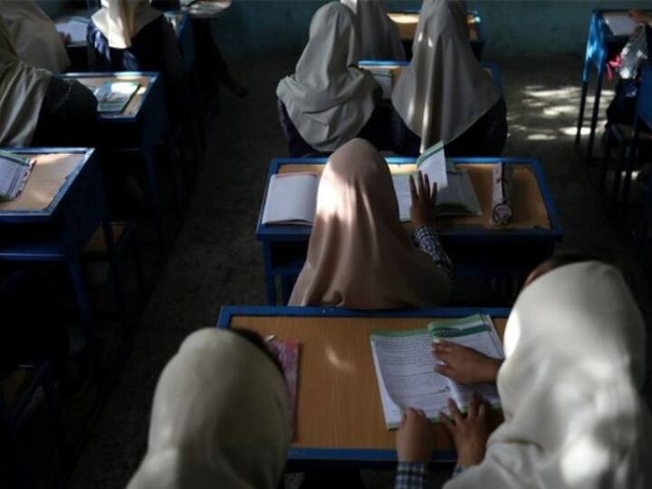 PoK: क्या तालिबानी एजेंडे पर चल रहा पाकिस्तान, पीओके के कॉलेजों में हिजाब पहनना जरूरी hijab mandatory in pakistan occupied kashmir educational institute imran khan pti led govt issued notification PoK: क्या तालिबानी एजेंडे पर चल रहा पाकिस्तान, पीओके के कॉलेजों में हिजाब पहनना जरूरी