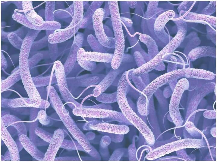 The World Health Organization warns of increasing cases of cholera in the world ప్రపంచంలో పెరిగిపోతున్న కలరా కేసులు -హెచ్చరిస్తున్న ప్రపంచ ఆరోగ్య సంస్థ