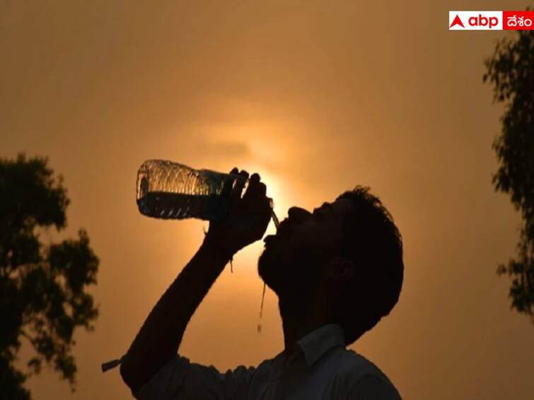 Sunstroke: Heatstroke Symptoms and Causes Health Tips of AP Government DNN Summer Health Tips: వడదెబ్బ లక్షణాలివే - ఎండతీవ్రతకు గురికాకుండా ఈ జాగ్రత్తలు తీసుకుంటే బెటర్