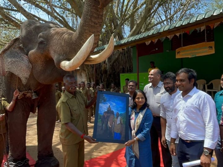Tamil Nadu 60 year old Kumki Elephant Kaleem retires receives guard of honour IAS Supriya Sahu Shares Video Watch: 99 रेस्क्यू ऑपरेशन में शामिल रहा कुमकी हाथी कलीम हुआ रिटायर, दिया गया गॉर्ड ऑफ ऑनर