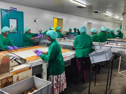 70% women in biscuit industry Madurai Britannia Company is amazing! பிஸ்கட் தொழிலில் 70% பெண்கள்  மதுரை பிரிட்டானியா நிறுவனம் அசத்தல் !