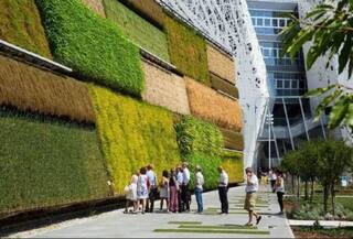 ਦੁਨੀਆ ਦਾ ਵਿਲੱਖਣ ਦੇਸ਼ ਜਿੱਥੇ ਕੰਧਾਂ 'ਤੇ ਕੀਤੀ ਜਾਂਦੀ ਹੈ ਖੇਤੀ, ਉਗਾਈਆਂ ਜਾਂਦੀਆਂ ਹਨ ਸਬਜ਼ੀਆਂ