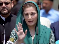 मरियम नवाज पर हमला करते-करते इमरान खान के नेता को आई सनी लियोन की याद, जानिए क्या है पूरा मामला