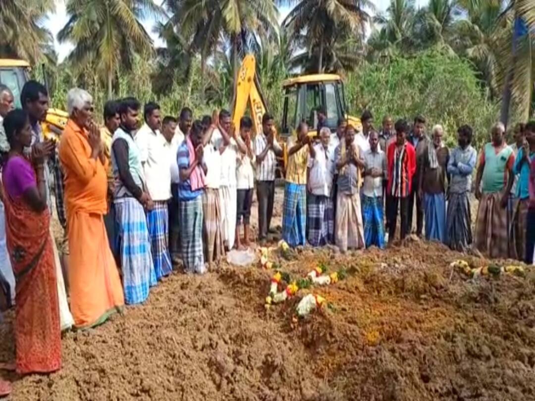 Dharmapuri: The baby elephants fought for love without knowing that their mother had died Baby Elephants : மின்வேலியில் சிக்கி உயிரிழந்த 3 யானைகள்.. தாய் உயிரிழந்ததை அறியாமல் பாசப் போராட்டம் நடத்திய குட்டிகள்!