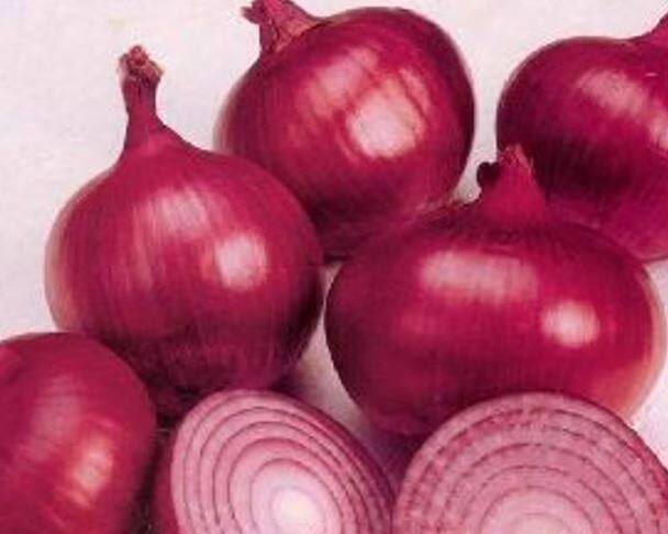 गेल्या दहा दिवसात शेतकऱ्यांकडून 900 रुपये प्रति क्विंटल पेक्षा जास्त दराने सुमारे 4000 मेट्रीक टन कांद्याची थेट खरेदी केल्याची माहिती कृषी मंत्रालयाकडून देण्यात आली आहे.