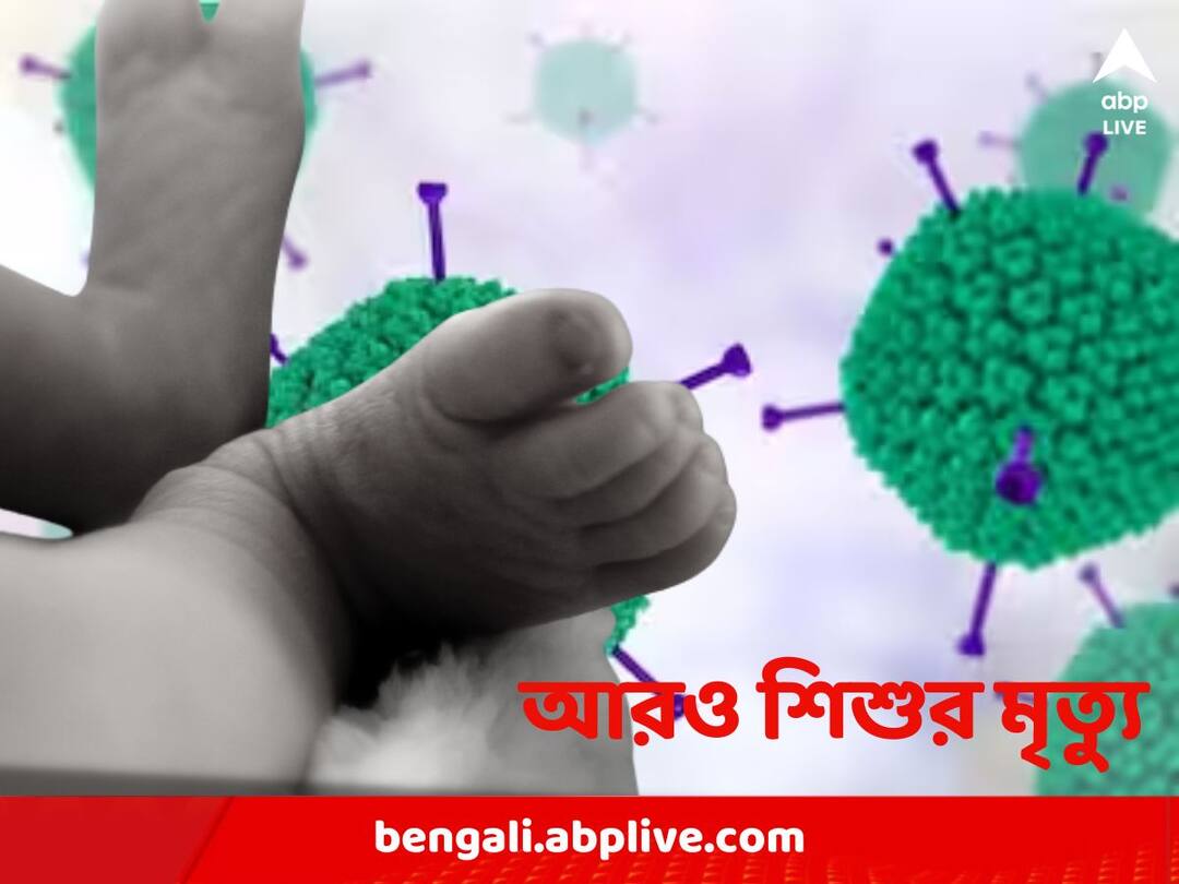 Adeno Virus update: কলকাতা মেডিক্যাল ও বি সি রায়ে আরও ৩ শিশুর মৃত্যু 3 more children died in Calcutta Medical and BC Roy hospital Adeno Virus update: কলকাতা মেডিক্যাল ও বি সি রায়ে আরও ৩ শিশুর মৃত্যু