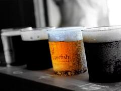 ਇੱਕ ਕੋਲਡ ਡ੍ਰਿੰਕ ਵਿੱਚ ਹੋ ਸਕਦੀ ਹੈ ਕਿੰਨੀ ਸ਼ੂਗਰ? ਸਰੀਰ 'ਤੇ ਪੈ ਸਕਦਾ ਇਸ ਦਾ ਅਸਰ