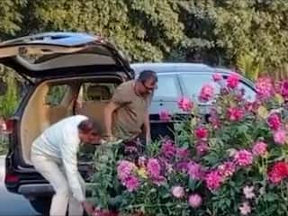 Chhatrapati Sambhajinagar: लोकांचा असाही गबाळेपणा... सजलेल्या संभाजीनगरच्या रस्त्यावरील 213 कुंड्या आणि 25 फोकस लाईट चोरून नेले