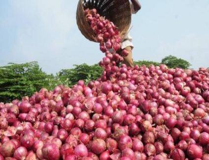 सध्या कांदा (Onion) उत्पादक शेतकरी संकटात सापडला आहे. कारण कांद्याच्या दरात (Onion Price) मोठी घसरण होत असल्याचं चित्र दिसत आहे.
