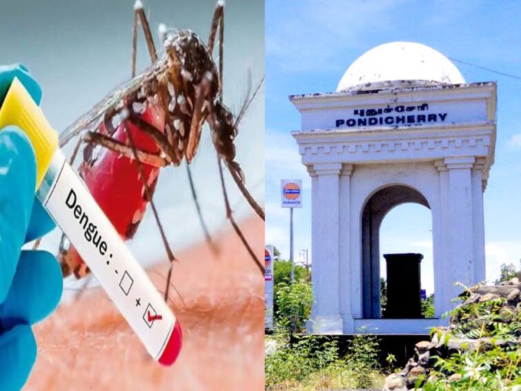 487 people affected by dengue fever in Puducherry Dengue: புதுச்சேரியில் 487 பேருக்கு டெங்கு காய்ச்சல் பாதிப்பு..! கடும் அவதியில் மக்கள்..!
