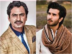 घरेलू हिंसा मामले में नवाज को पाकिस्तान से मिला 'सपोर्ट', पड़ोसी मुल्क के अभिनेता ने कह दी यह बात