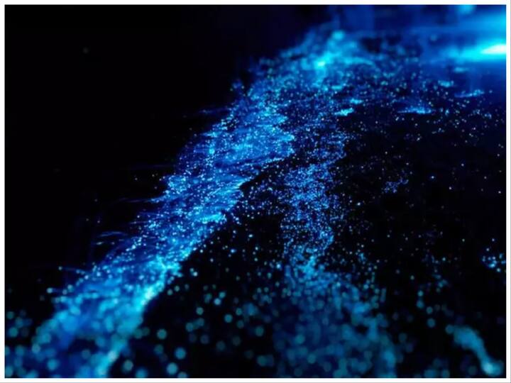 दक्षिण गोवा में स्थित बेतलबातिम बीच पर पानी में मौजूद बायो ल्यूमिनेसिसेंस के कारण यह बीच अंधेरे में चमकता है.