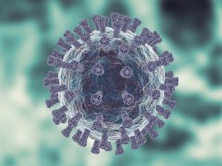 H3N2 Influenza Virus: ભારતમાં ઈન્ફલ્યુએન્ઝા વાયરસથી બેના મોત, કર્ણાટક અને હરિયાણામાં થયા મૃત્યુ