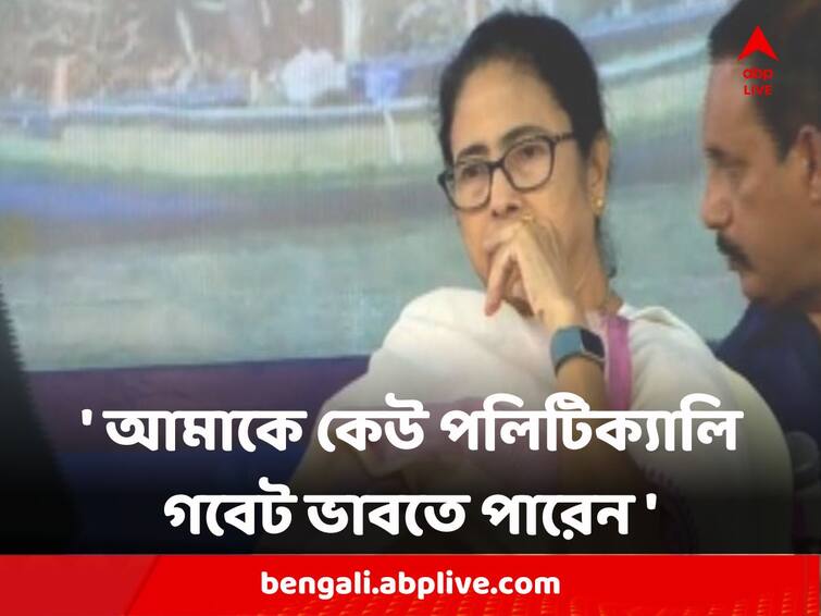 Mamata Banerjee says in Assembly if someone concerned about my political knowledge then don't have anything to say Mamata Banerjee : 'আমাকে কেউ পলিটিক্যালি গবেট ভাবতে পারেন, কিছু করার নেই' বিধানসভায় মন্তব্য মুখ্যমন্ত্রীর