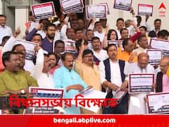 অ্যাডিনো-আঁচ বিধানসভায়, স্বাস্থ্যমন্ত্রীর বিবৃতি দাবি বিজেপি-র, হট্টগোল ভিতরেও