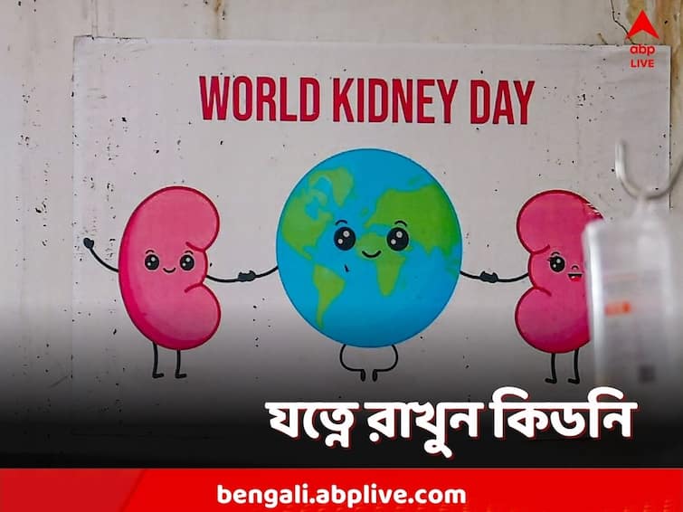 World Kidney Day Daily Habits That Can Damage Your Kidneys