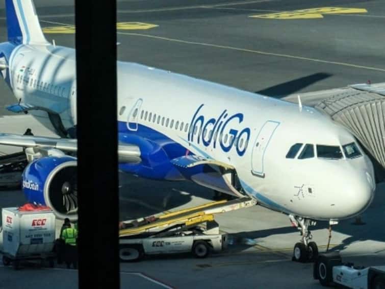 IndiGo Appoints Mark Sutch For CarGo International As Chief Commercial Officer IndiGo Appoints Mark Sutch For CarGo International As Chief Commercial Officer