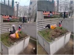 स्टंट परफॉर्म करते समय कम पड़ गई शख्स की स्पीड, सिर के बल जमीन पर गिरा