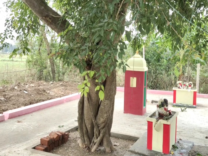 மகாதானபுரம் சடையப்ப சித்தர், ஓசைமணி காளியம்மன் கோயில் கும்பாபிஷேக விழா