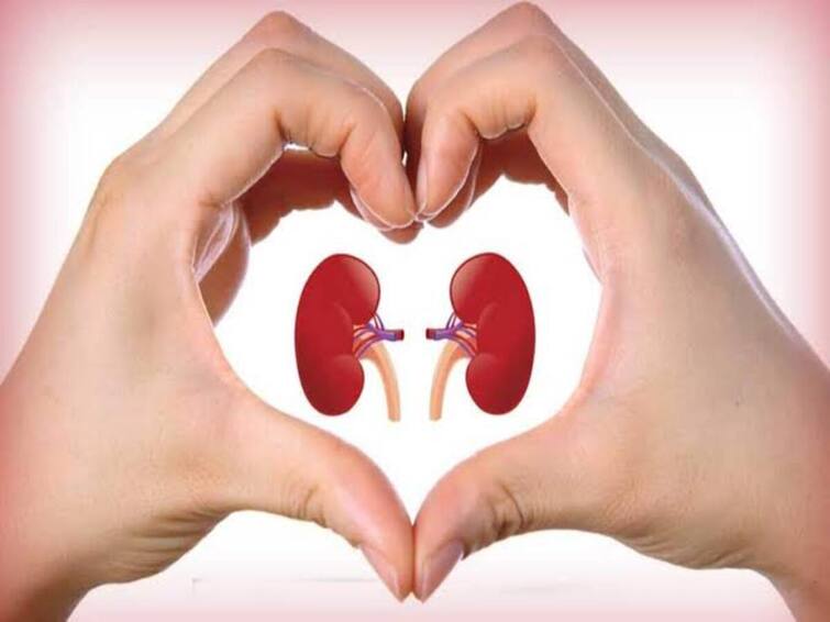 World Kidney Day 2023 Did You Know About These Common Lifestyle Habits That Are Damaging Your Kidney World Kidney Day 2023: நம் அன்றாட வாழ்வில் செய்யும் இந்த 7 விஷயங்கள் கிட்னியை பாதிக்கிறதாம்… தெரிஞ்சுக்கோங்க!