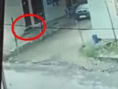 शिमला में तेंदुए की दहशत, खौफनाक CCTV फुटेज सामने आने के बाद घरों में कैद हुए लोग