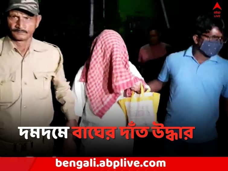 North 24 Parganas News Illegal Deer Tiger organs rescue on fraud case in Dumdum Dumdum News: তন্ত্র সাধনার নামে 'প্রতারণা' ? দমদমে কালো হরিণের ছাল, বাঘের দাঁত উদ্ধার