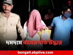 তন্ত্র সাধনার নামে প্রতারণা ? দমদমে কালো হরিণের ছাল, বাঘের দাঁত উদ্ধার