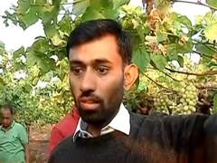 अवकाळी पावसाचा 'दगा', द्राक्ष बागांचं मोठं नुकसान; बळीराजाच्या डोळ्यात पाणी 