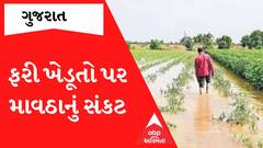 ફરી ખેડૂતો પર કમોસમી વરસાદનું સંકટ, જાણો ક્યારે અને ક્યાં ક્યાં તૂટી પડશે વરસાદ?