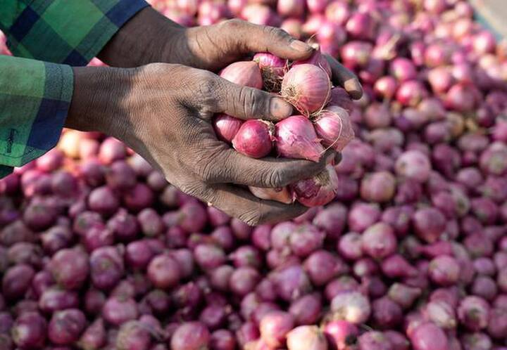 Nashik Onion Price Onion market will open even at March end decision of onion traders Nashik: मार्च एन्डलाही नाशिक जिल्ह्यातील कांदा मार्केट सुरू राहणार, कांदा व्यापाऱ्यांचा निर्णय