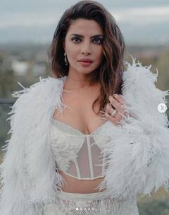 Priyanka Chopra: ਪ੍ਰਿਅੰਕਾ ਚੋਪੜਾ ਨੇ ਟ੍ਰਾਂਸਪੇਰੇਂਟ ਆਊਟਫਿਟ'ਚ ਦਿਖਾਇਆ ਬੋਲਡ ਅਵਤਾਰ, ਖੂਬਸੂਰਤੀ ਦੇਖ ਕੇ ਹੈਰਾਨ ਰਹਿ ਗਏ ਪ੍ਰਸ਼ੰਸਕ