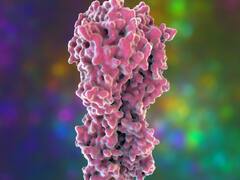 जिन दो मरीजों की H3N2 वायरस से हुई मौत उनकी थी मेडिकल हिस्ट्री, जानिए किन बीमारियों से थे ग्रसित