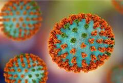 H3N2 ਦਾ ਕਹਿਰ ਵਧਿਆ, ਕਰਨਾਟਕਾ 'ਚ ਪਹਿਲੀ ਮੌਤ ਦੀ ਪੁਸ਼ਟੀ